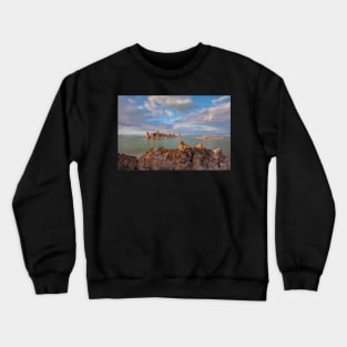 Mono Tufas Crewneck Sweatshirt